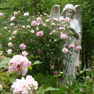 Jardin de la Mansonière - Le jardin Gothique