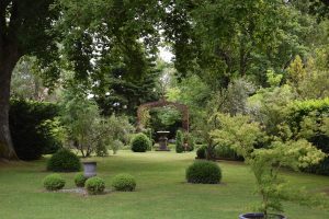 Jardin mansoniere - La chambre verte
