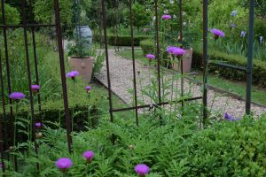 Jardin mansoniere - Le jardin de Noémie