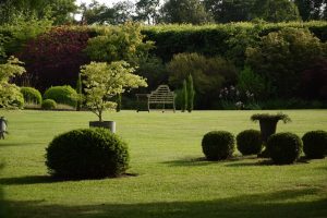 Jardin mansoniere - Le Tapis Vert